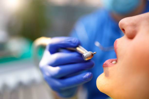 Best Dental Fillings (Composite and Amalgam)  in Luna Pier, MI